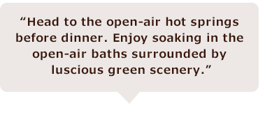 “Head to the open-air hot springs before dinner. Enjoy soaking in the 