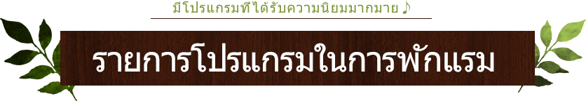 รายการโปรแกรมในการพักแรม